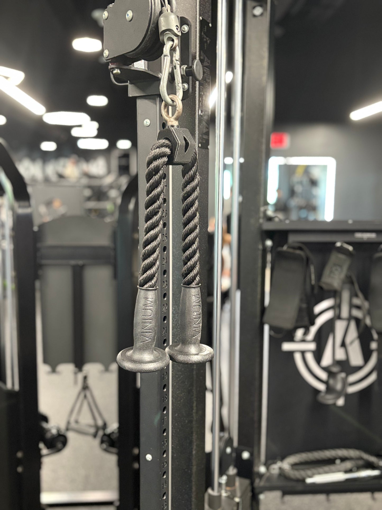 Vinium Tricep Rope Extension